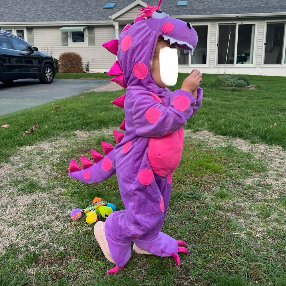 Purple Dinosaur Kids Costume